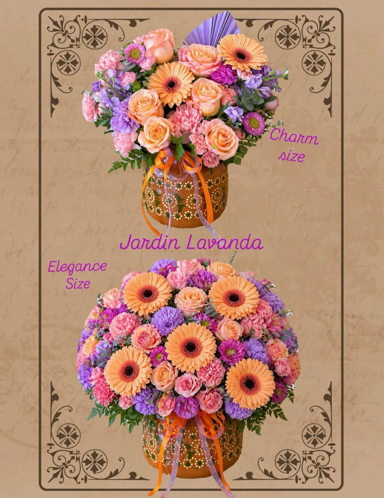 Jardin Lavanda Ollita — Garden Arrangement